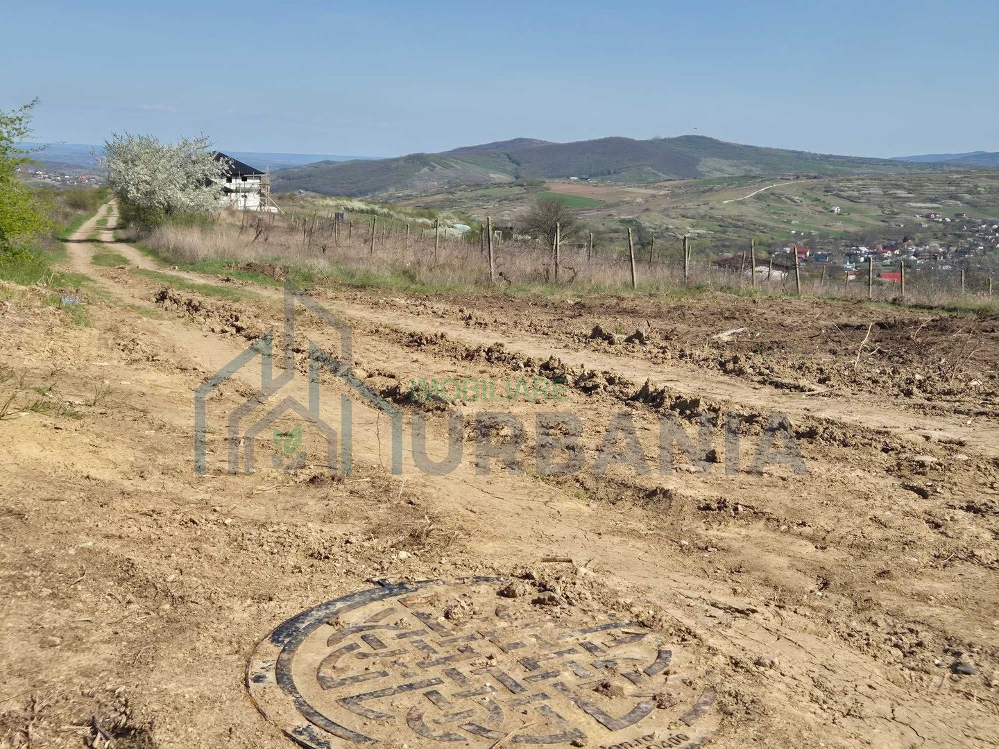 Teren intravilan de vânzare în comuna Tomesti - Poză 4