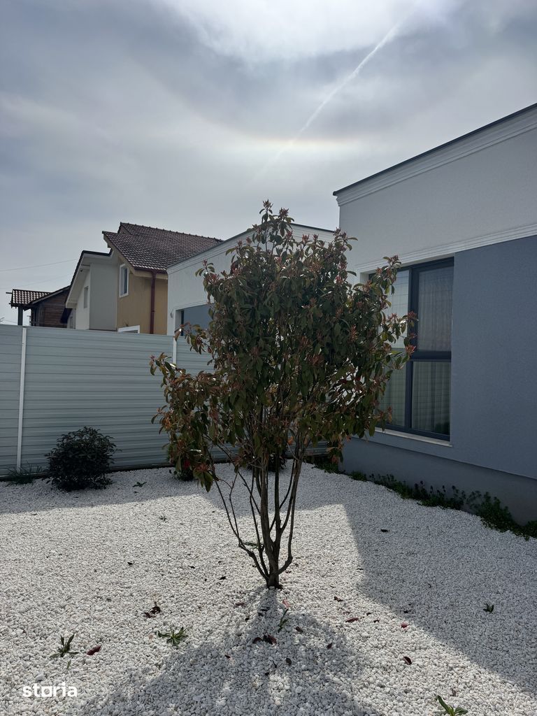 Duplex pe  Parter -Dumbravita-GATA DE MUTARE - Poză 2