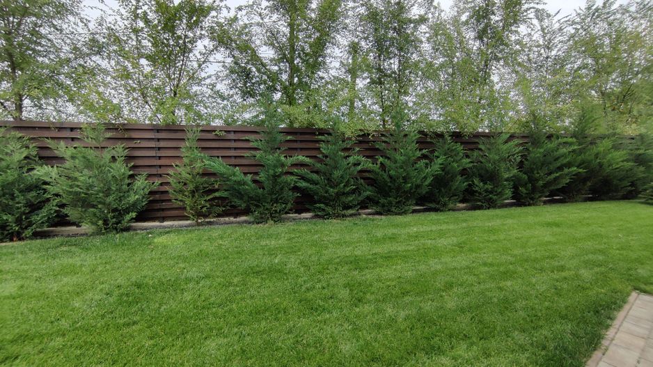 CASA  DEOSEBITA LA  SACALAZ IN SUPRAFATA DE 153 MP - Poză 34