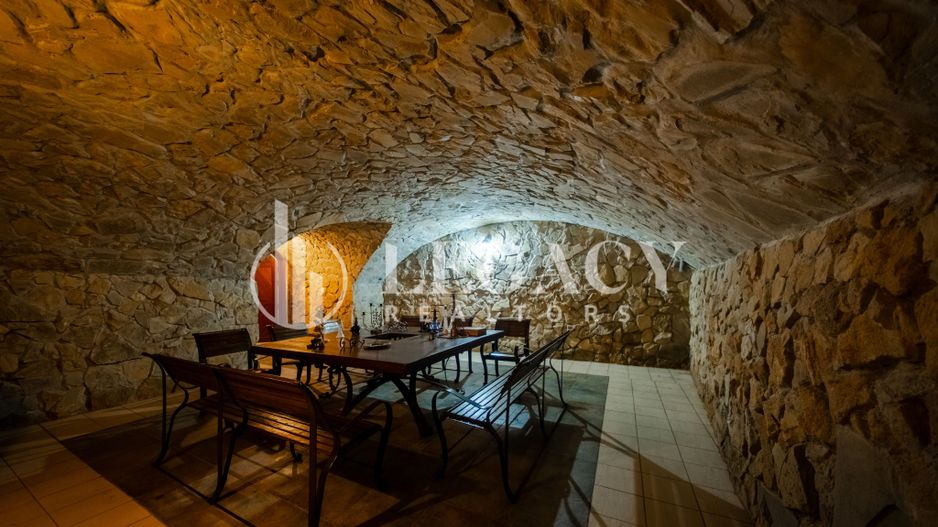 Vilă Exclusivistă în Copou – 680 mp Utili | Teren 1.414 mp - Poză 11