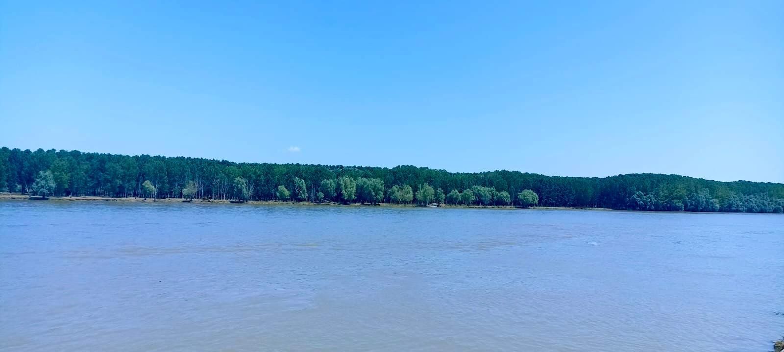 Casa de vanzare Tulcea / MAHMUDIA - Poză 13