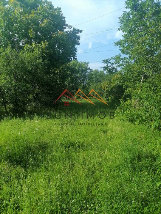 Teren intravilan Municipiul Campina, 1900 mp, investitie - Poză 3