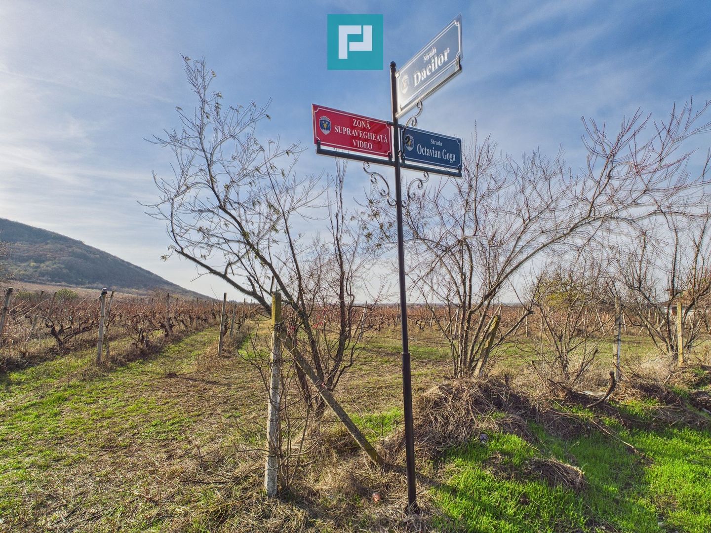 Casuță cu priveliște panoramică spre Cetatea Șiria - Poză 30