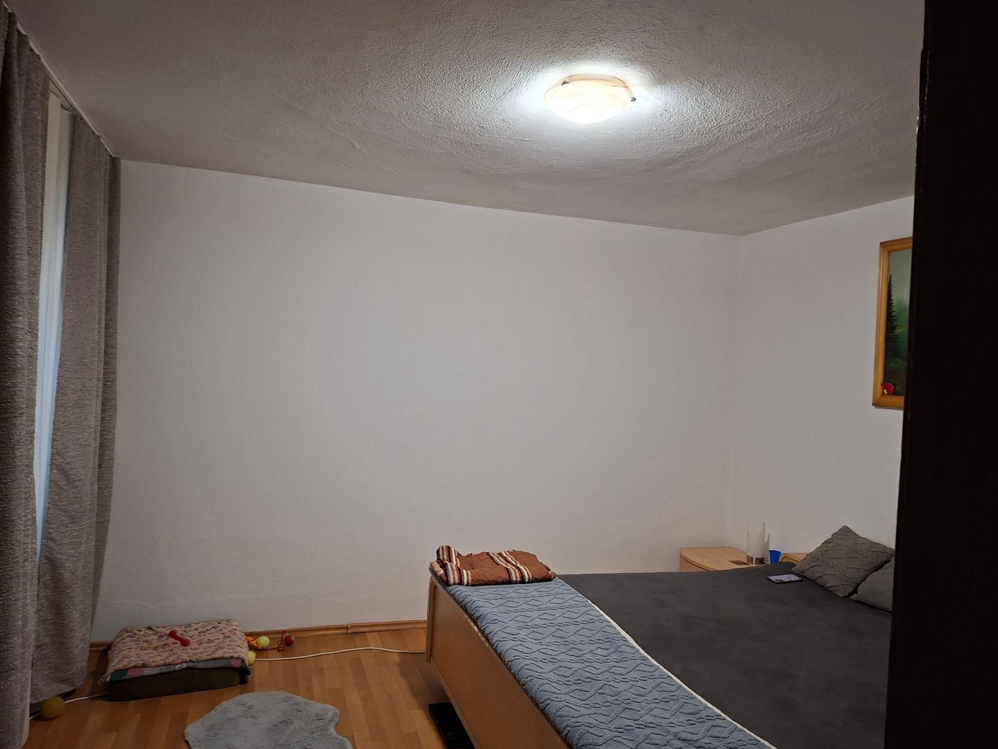 BRASADAS vinde casa individuala 2 cam Viile Satu Mare. - Poză 6