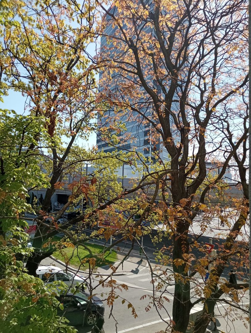 Aviației vizavi de Promenada - Poză 9