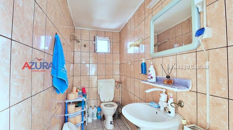 Vanzare Spatiu Logistic - Poză 33