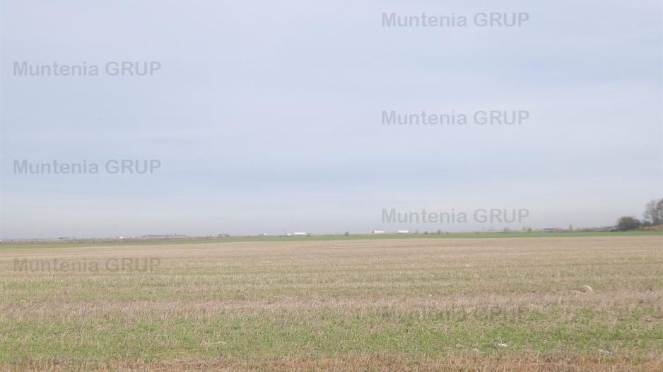 Unicat ! A3 Gherghita - 27 Ha. teren intravilan cu PUZ aprobat - Poză 5