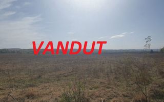 Vanzare teren arabil 22 Ha, plan, Arges, Moraresti - Poză 1