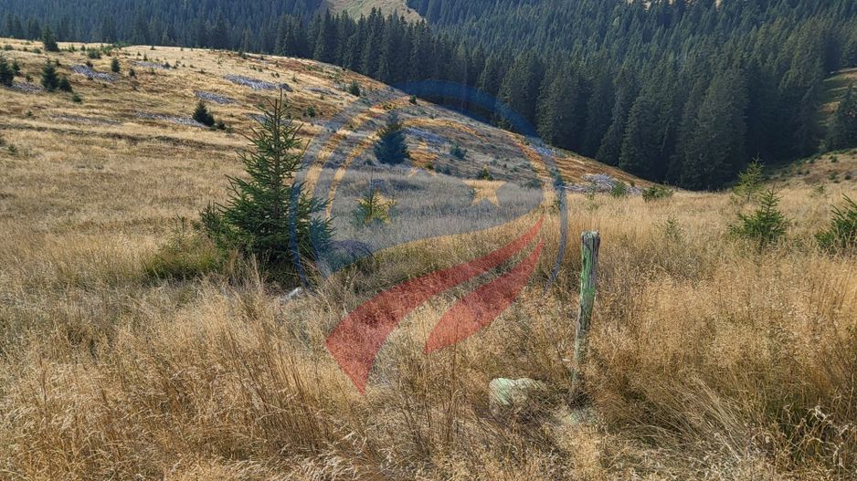 Teren de vanzare in Horezu/Bolca Pietrele Scrise/Valcea - Poză 1