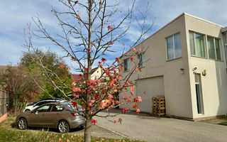 Clădire SAD de închiriat, situată la intrarea în Dumbrăvița - Poză 25