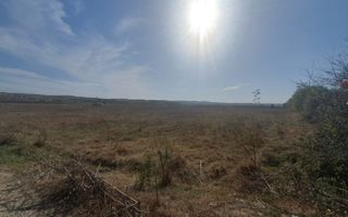 Vanzare teren arabil 22 Ha, plan, Arges, Moraresti - Poză 10