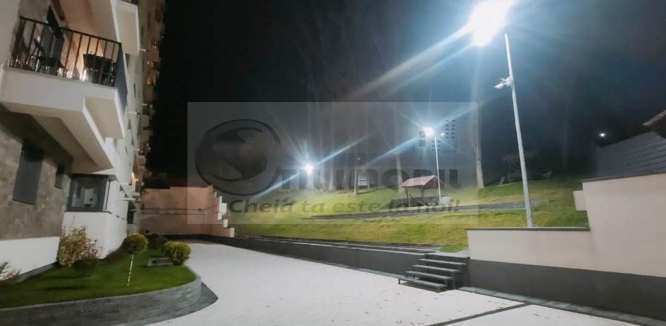 1 CAM NOU TATARASI EVERGREEN - Poză 11