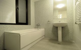 3 camere | Iancu Nicolae | Aleea Privighetorilor - Poză 7