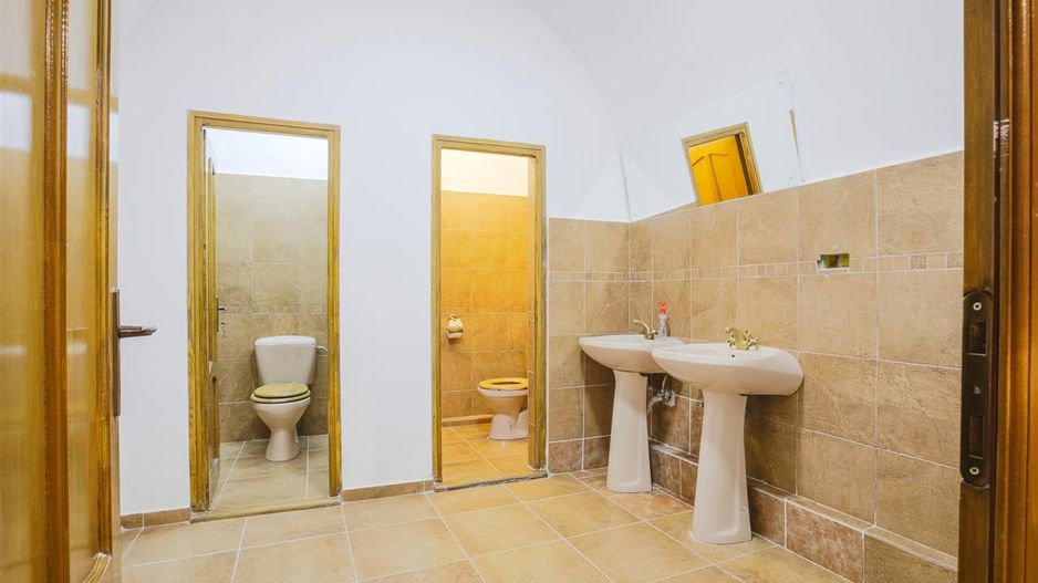 Sub mantia arhitecturala istorica a Cetatii Timisoarei, Spatiu comercial - Poză 13
