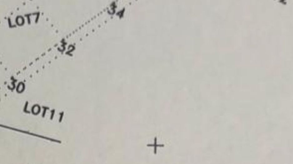 Teren intravilan in Domnesti 565 mp. - Poză 2