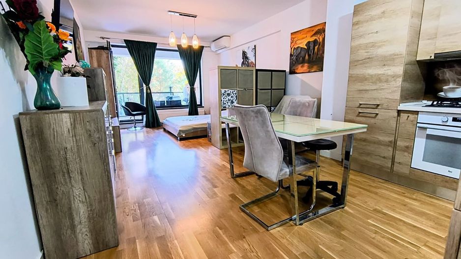 Iancu Nicolae- Gradina Zoologica- Jolie Ville- Loc parcare - Poză 1