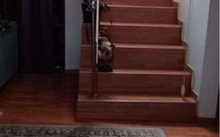 Vilă P+1 cu garsonieră independentă și curte 360 mp | zonă liniștită Militari - Poză 4