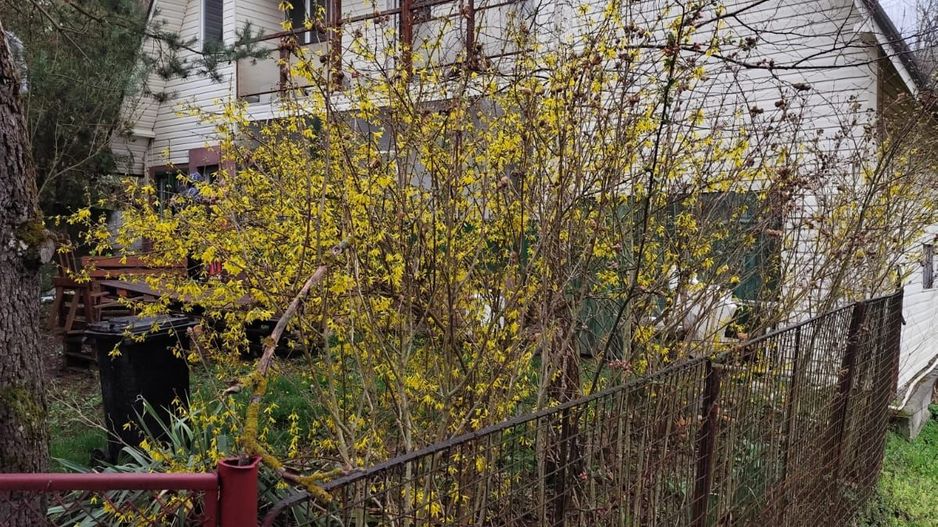 Casă de vânzare la liziera pădurii – Comuna Bogați, Argeș - Poză 7