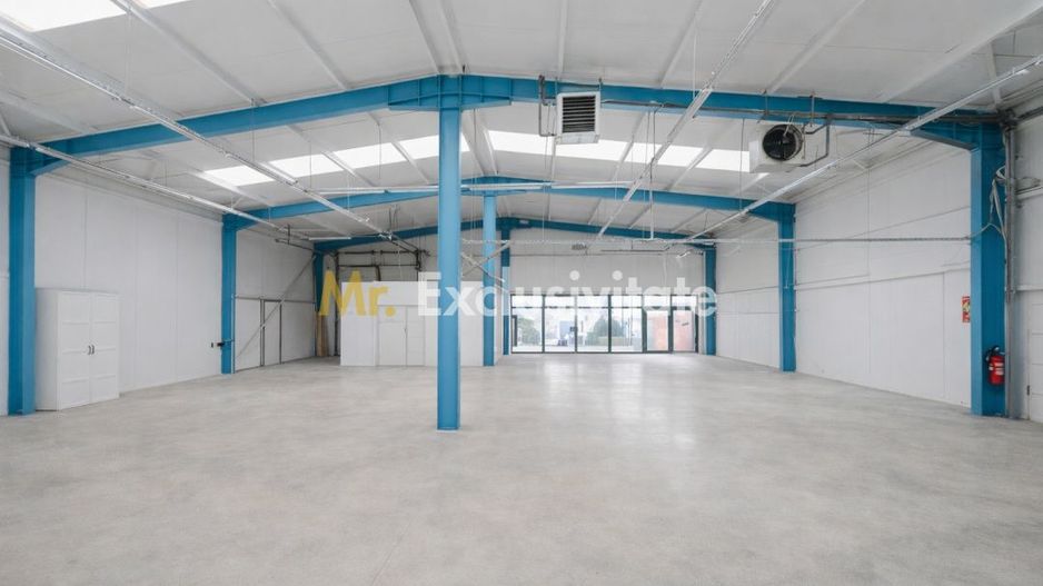 HALA INDUSTRIALA 595 MP | DN 65B – BRADU | CURTE 1.466 MP | AUTOSTRADA - Poză 3