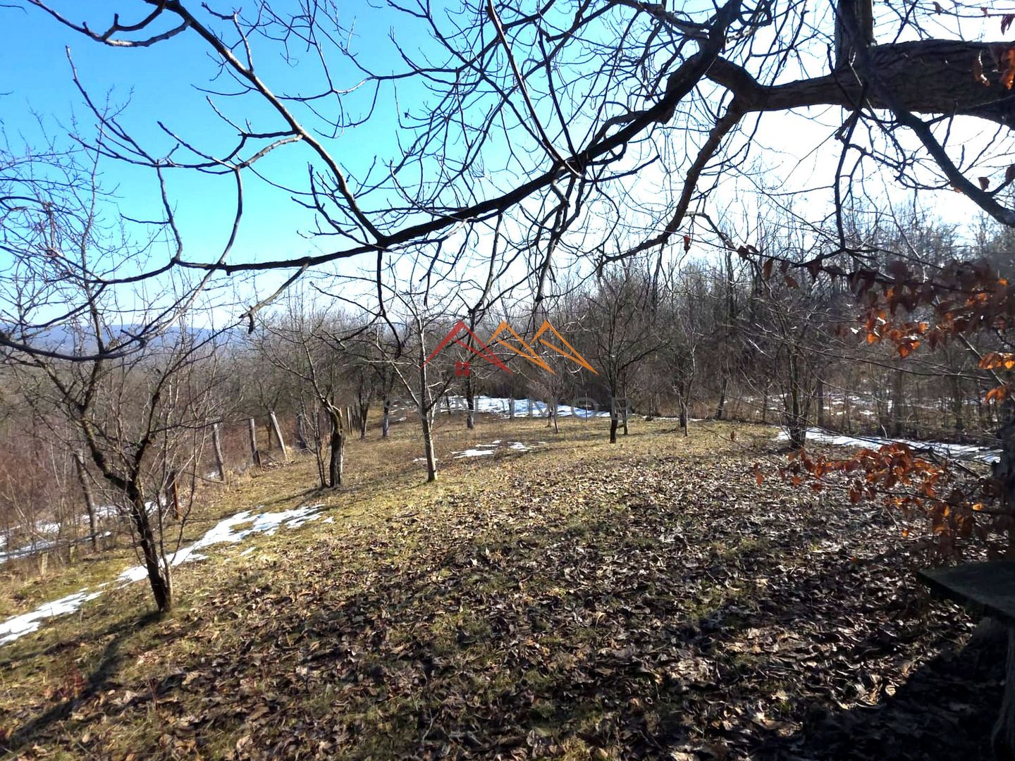 CASĂ INDIVIDUALĂ CU LIVADĂ | 2.195 MP TEREN | POIANA CÂMPINA - Poză 22