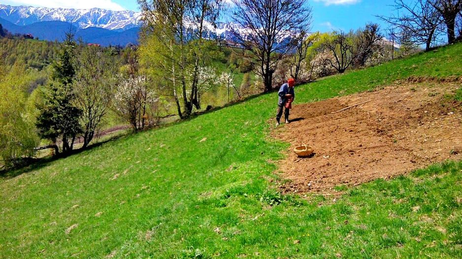 teren intravilan in zona Magura Bran - Poză 11