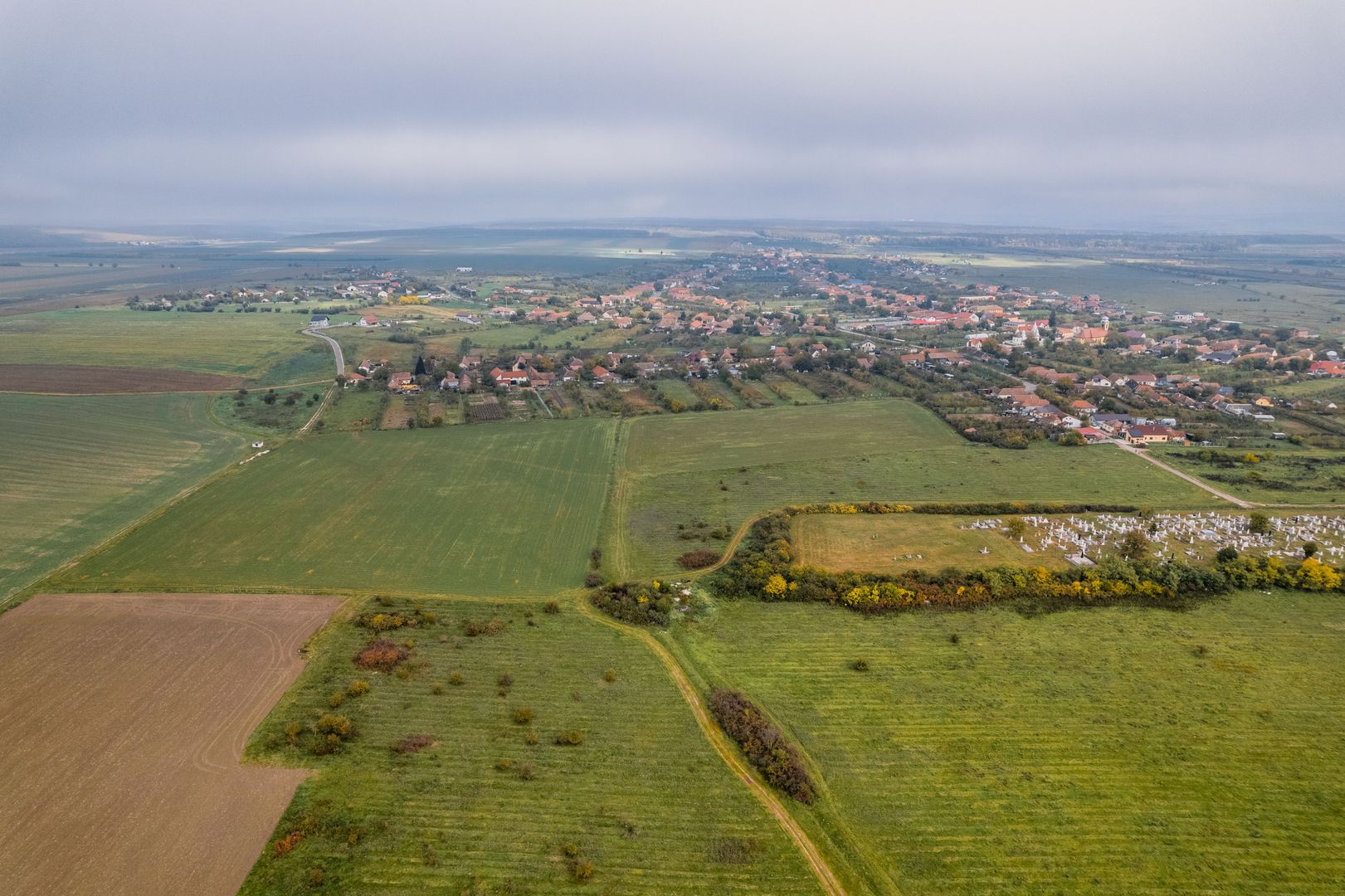 Teren de 50.000mp în Pișchia - Poză 4