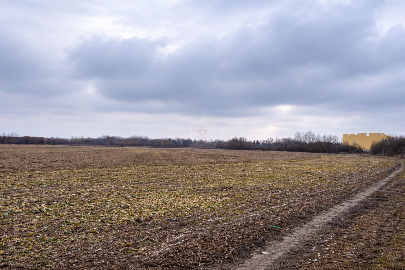 Teren Gruiu Snagov investitie vile REDUCERE - Poză 1