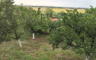 VANZARE CASA PARTER | CENTRALA PROPRIE | ZONA DRAGODANA - Poză 11