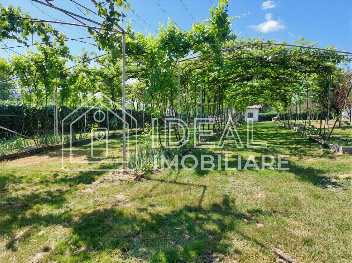 Teren intravilan 2.158 mp - Tropinii Noi, Sibiu | 2 parcele | Zonă Dumbrava - Poză 3