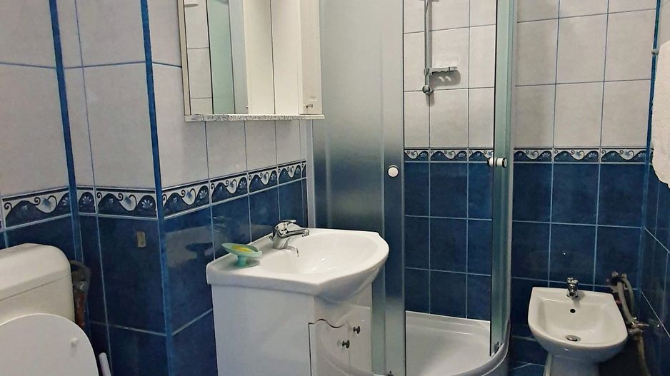 Gemenii str Zizinului apartament mobilat etaj 1 - Poză 3