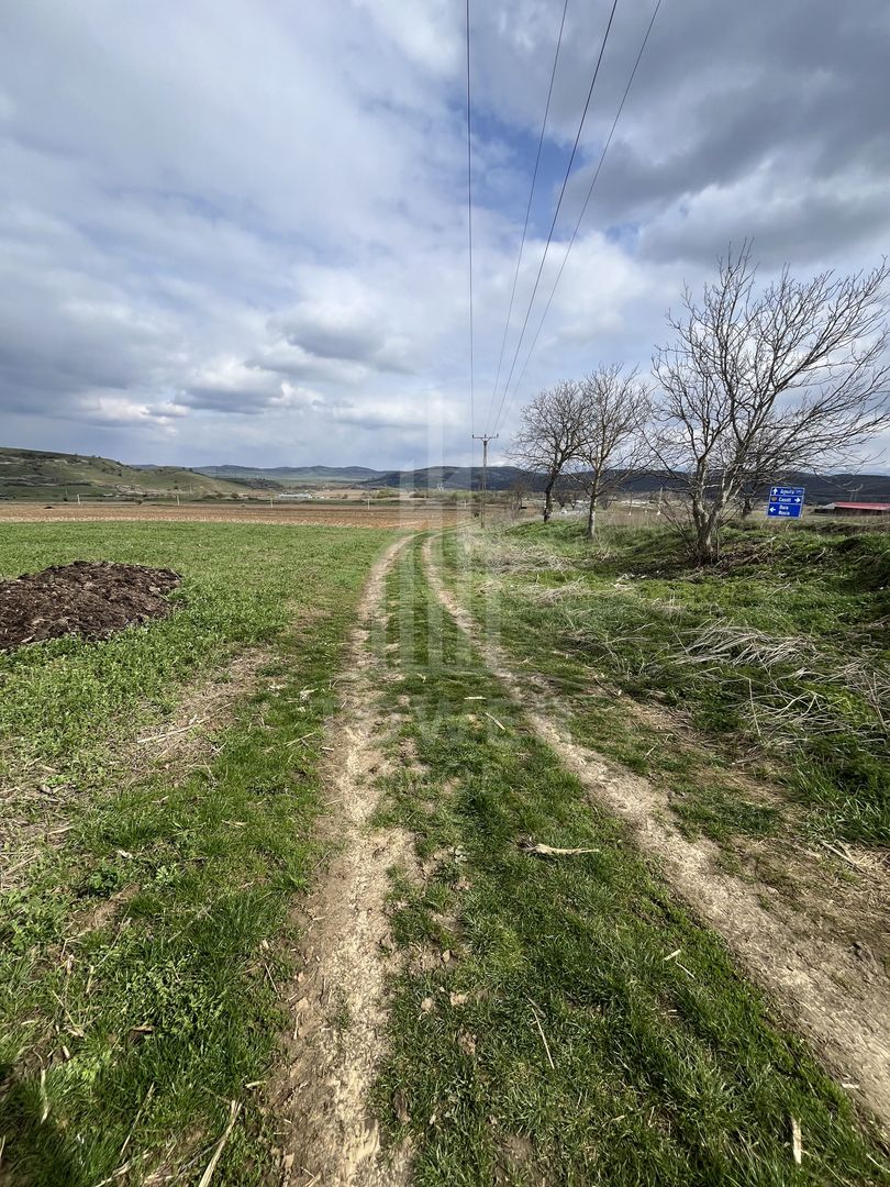 Teren  de vânzare DAIA  OPORTUNITATE  pentru dezvoltatori - Poză 2