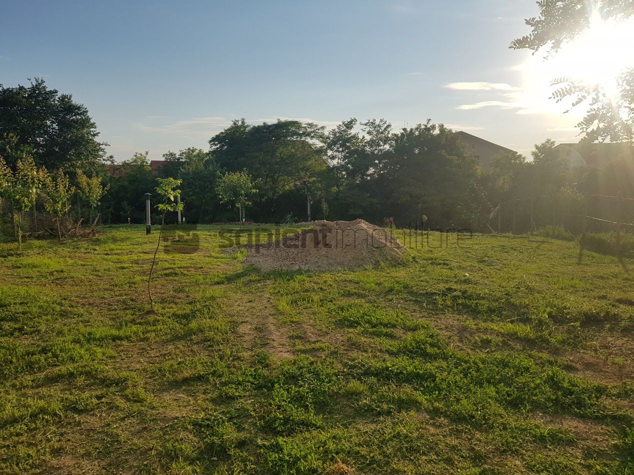 SAPIENT/TEREN INTRAVILAN 600 MP CU ANEXE ȘI PIVNITE - EPISCOPIA - Poză 9