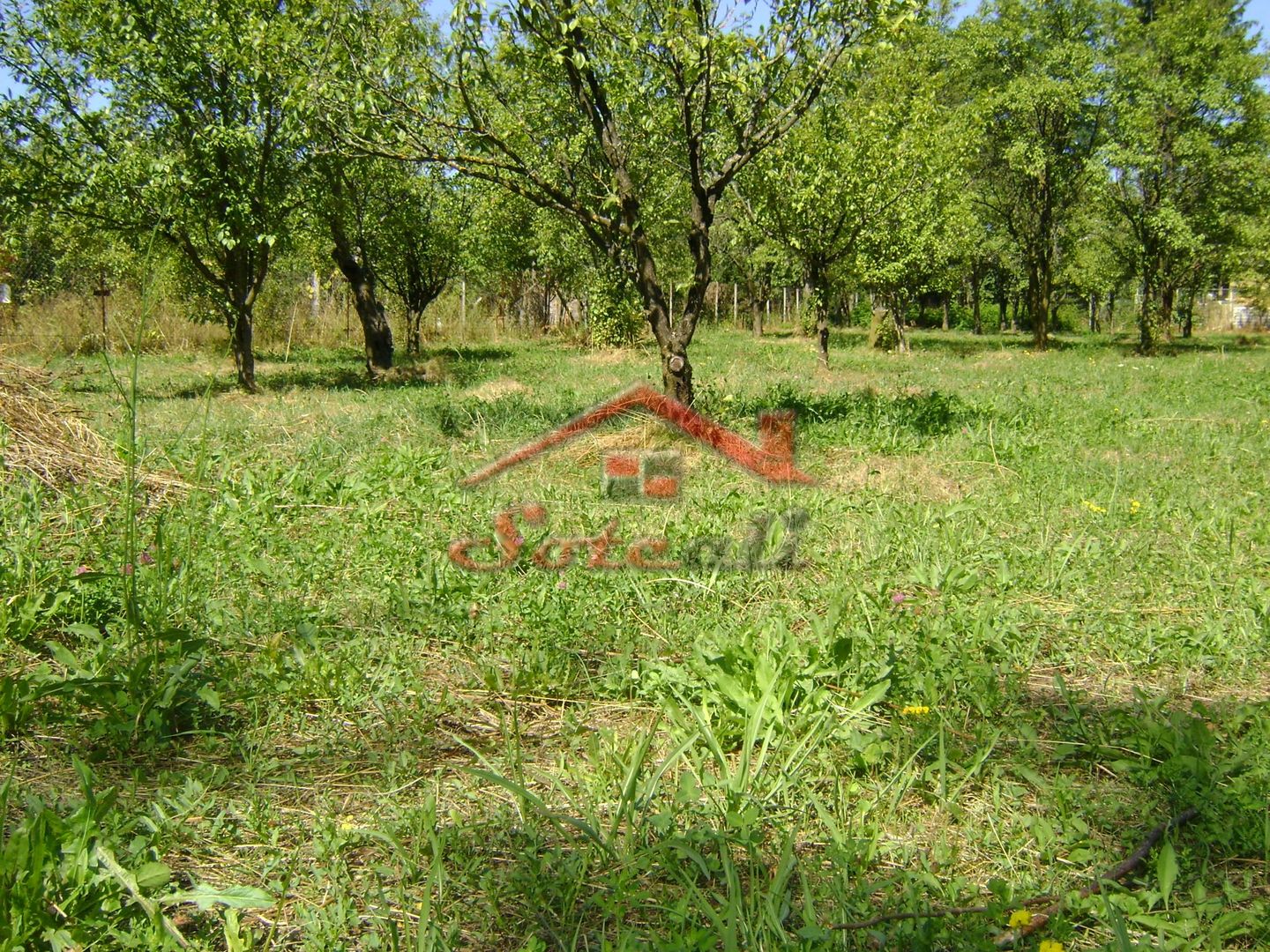 Teren  de vanzare Cornu 1919 mp - Poză 2