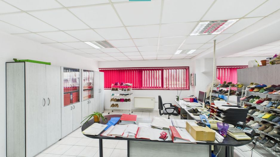 Hală de producție, cu birouri și teren, în Sebiș - Poză 32