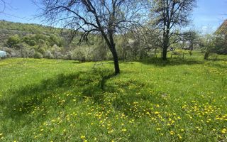 TEREN INTRAVILAN 3265 MP, VALEA MARE PRAVAT, ARGES - Poză 3