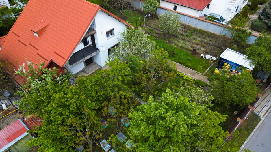 Vanzare Vila Mogosoaia - Poză 11