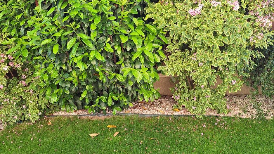 Casa deosebita, Gheorgheni-zona Iulius Mall - Poză 24