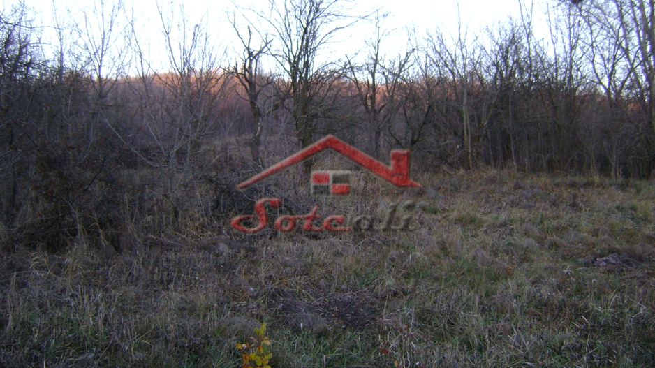Teren de vanzare Cornu de Jos - Poză 4