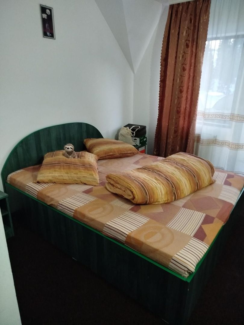 Pensiune + fermă piscicolă (sturion/caviar) | Saru Dornei/Sarisor - Poză 20