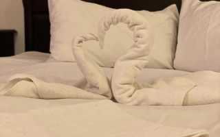 Casa de vacanta 6 camere sau oportunitate de investitie in Paltinis - Poză 5