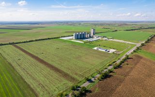 Teren de 104000 mp în Vinga - Poză 3