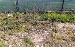 Teren generos 1044 mp aproape de Timișoara – ideal pentru investiție! - Poză 6