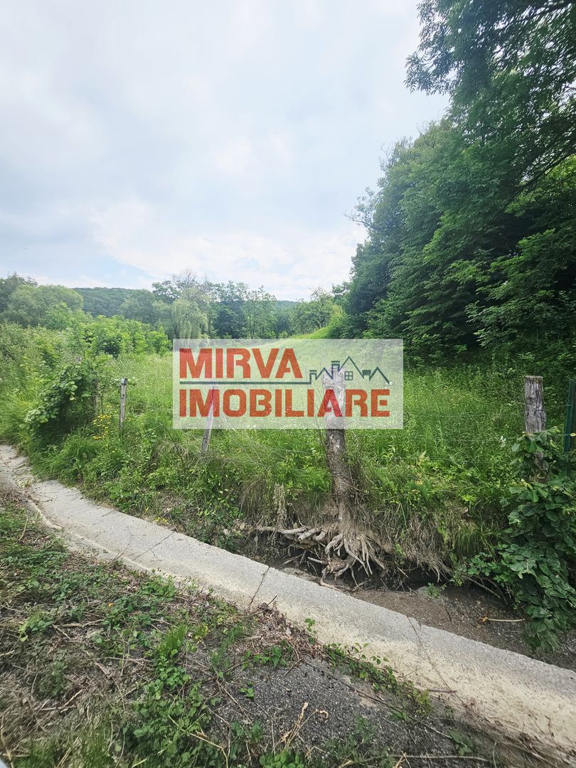 Teren intravilan lângă pădure – 1659 mp,  C.U. P+2E, Vărbilău - Poză 2