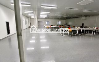 Spatiu de inchiriat Craiesti - Poză 9