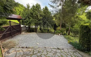 Afacere la cheie!Han, Pensiune, Restaurant, de vânzare Transilvania - Poză 36