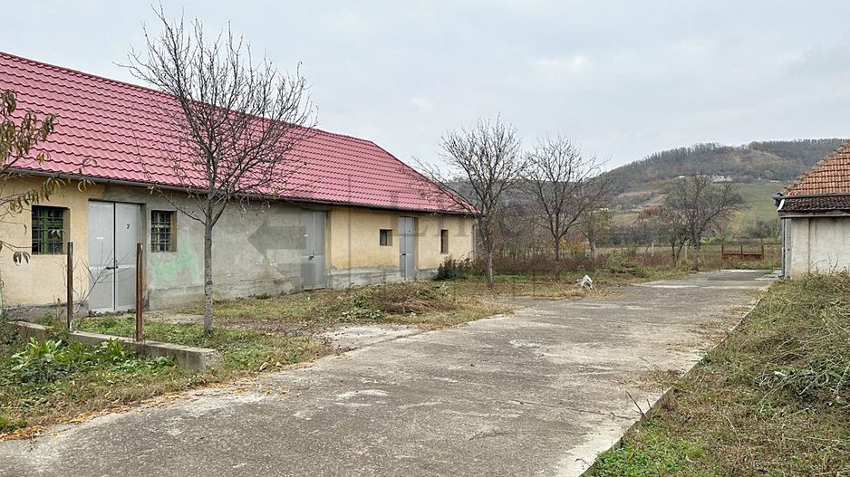 Casa cu 3 Hale si teren 8000 mp in Ulileacu de Cris, Bihor - Poză 7