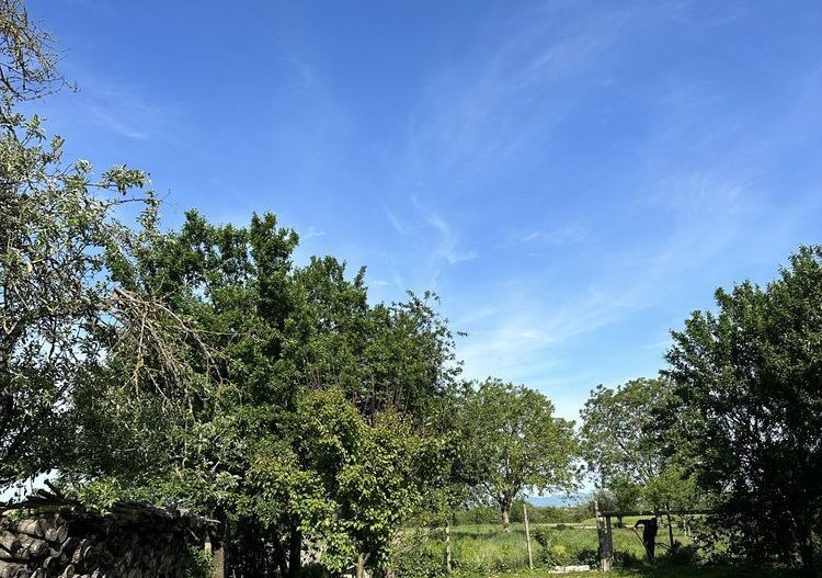 Vand Casa individuala jud SATU MARE - comuna Porumbesti - Poză 6