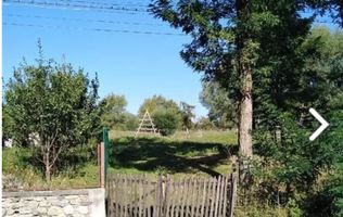 TEREN INTRAVILAN 5000 MP, BRADULET, ARGES