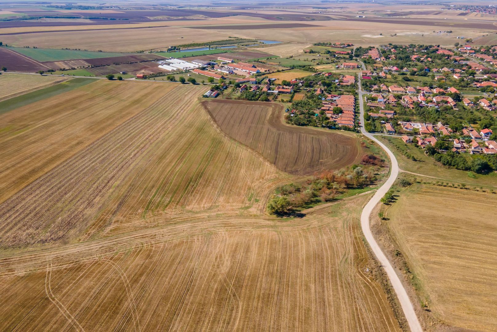 Teren 35172 mp în Cruceni - Poză 2