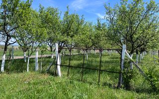 Casă de vacanță + livadă | teren 3000 mp | Chijic | Bihor - Poză 14